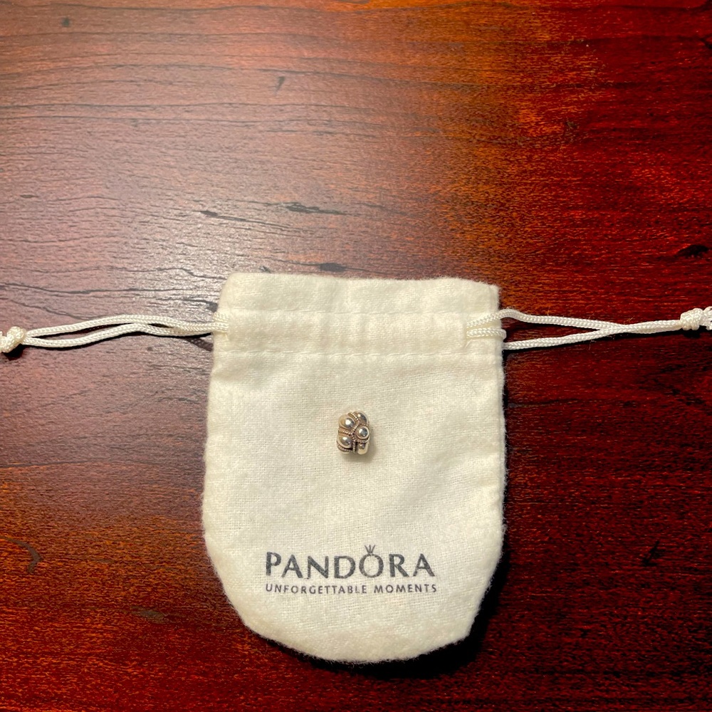 Authentic Pandora charm